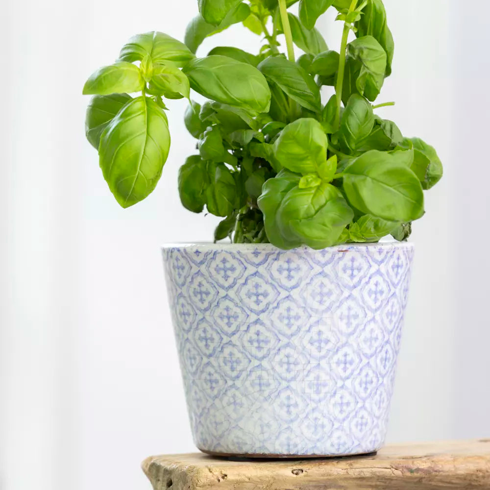 Handcrafted Terracotta Herb Pots | Powder Blue Glazed Planters (14cm)