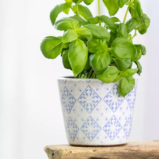Handcrafted Terracotta Herb Pots | Powder Blue Glazed Planters (14cm)