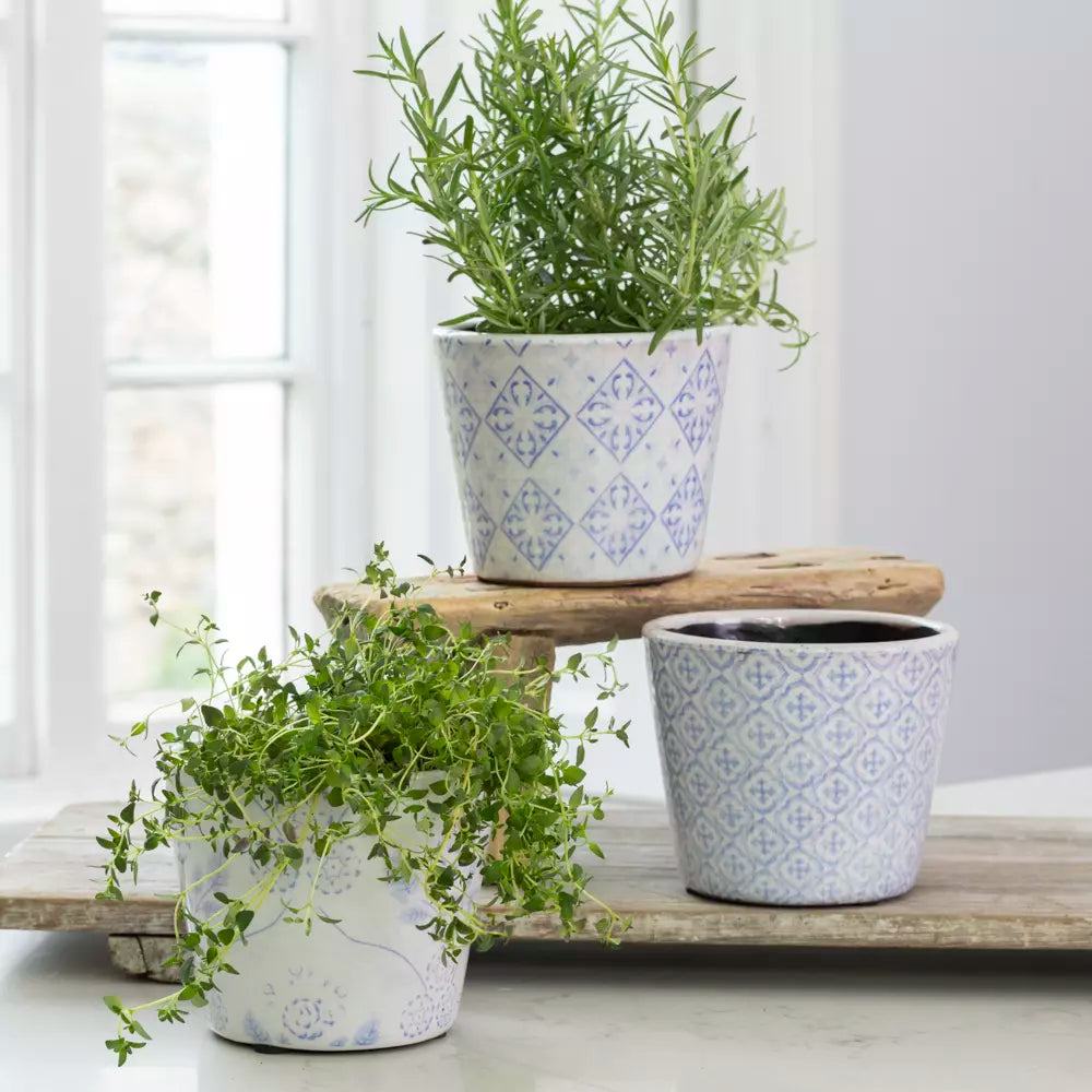 Handcrafted Terracotta Herb Pots | Powder Blue Glazed Planters (14cm)