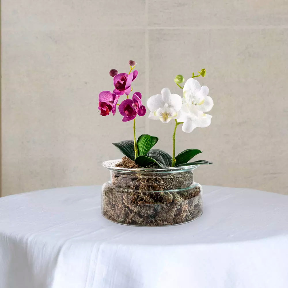 Botanical Glass Planter Small